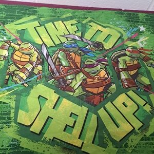 2pc Set TMNT Time To Shell Up Standard Size Pillowcases